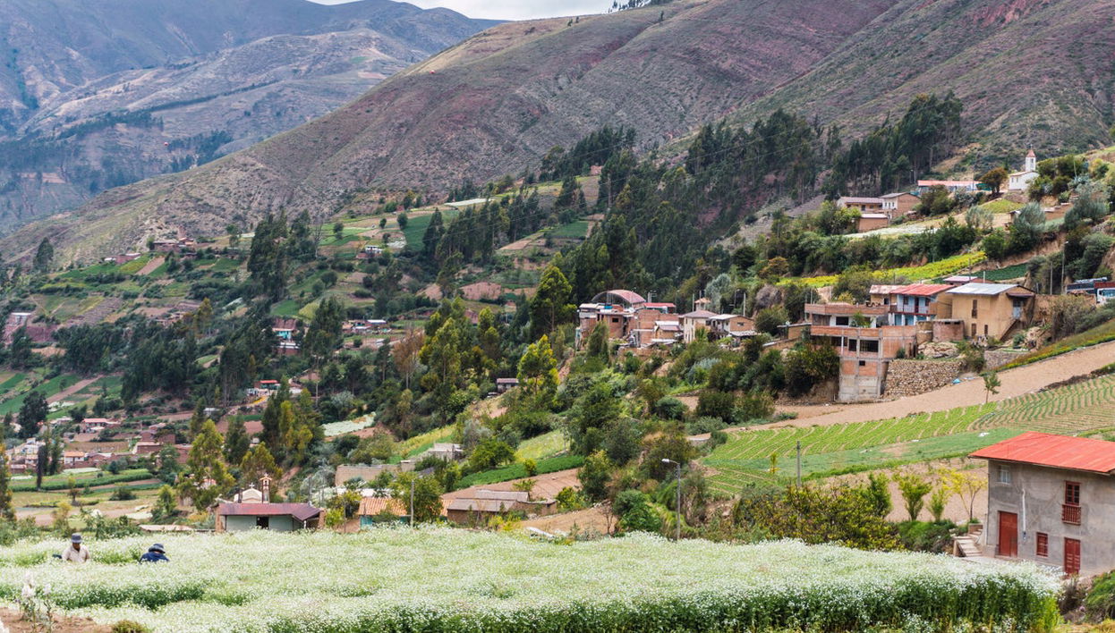 Valley of the Flowers Tour - Foto 1