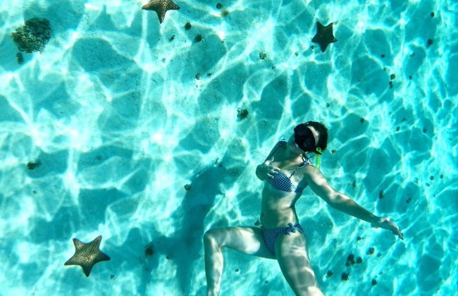 Snorkel en el santuario de tortugas de Cozumel - Foto 5