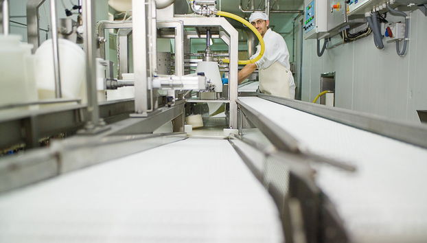 Visit to La Antigua Cheese Factory - Foto 2