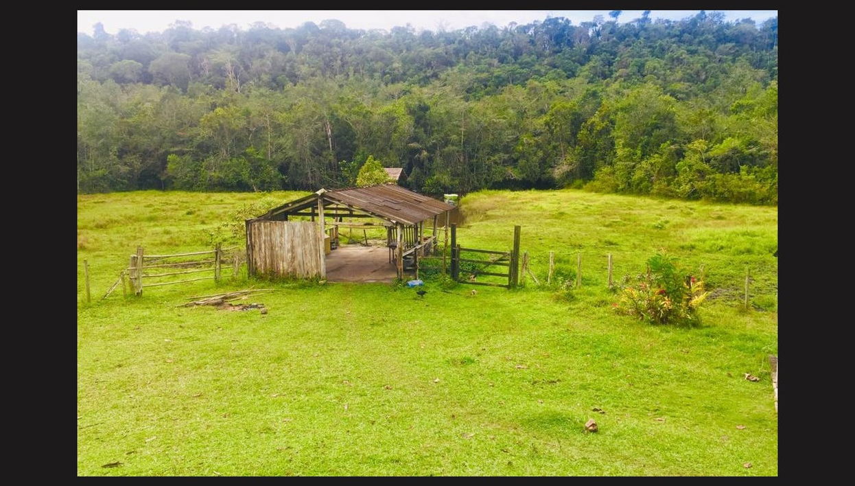 Passeio de lancha pelo rio João de Tiba - Foto 1
