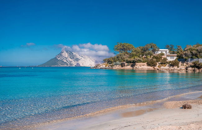 Sailboat Tour of the Marine Protected Area of Tavolara - Photo 4