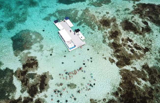 Snorkel in Stingray City Antigua - Foto 5