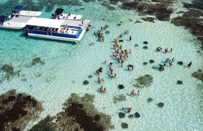 Snorkel in Stingray City Antigua - Foto 1