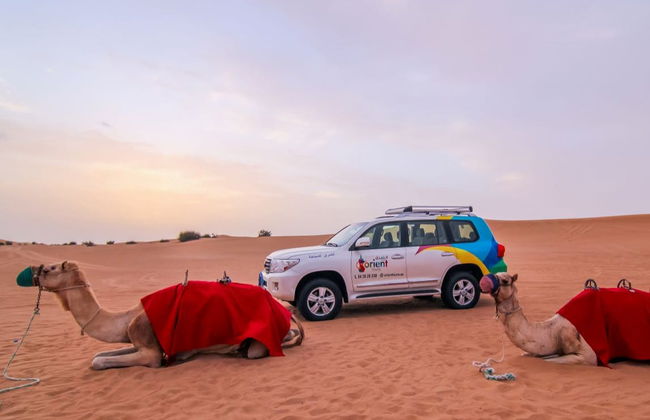 Excursión al desierto de Ajmán - Foto 5