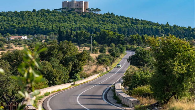 Excursión a Castel del Monte - Foto 5