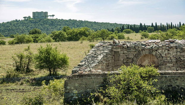 Excursión a Castel del Monte - Foto 4