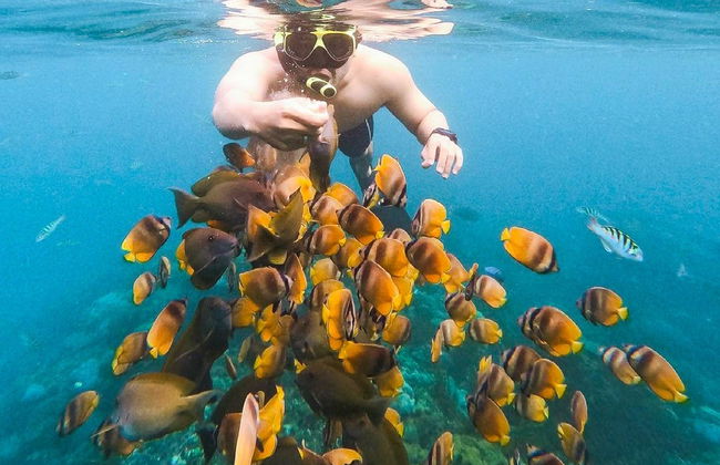 Snorkel con mantarrayas en Nusa Penida - Foto 2
