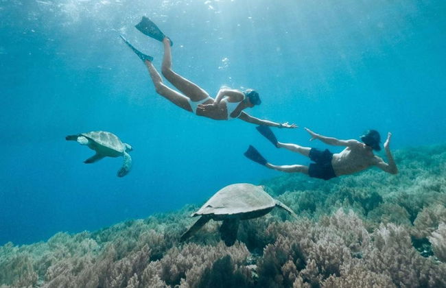 Snorkel con mantarrayas en Nusa Penida - Foto 3