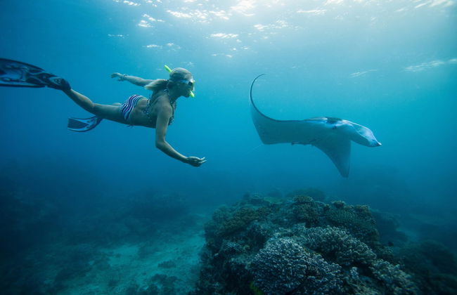 Snorkeling Manta Ray Tour - Foto 5