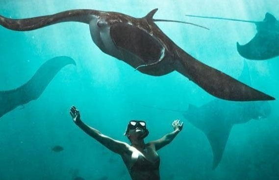 Snorkel con mantarrayas en Nusa Penida - Foto 5