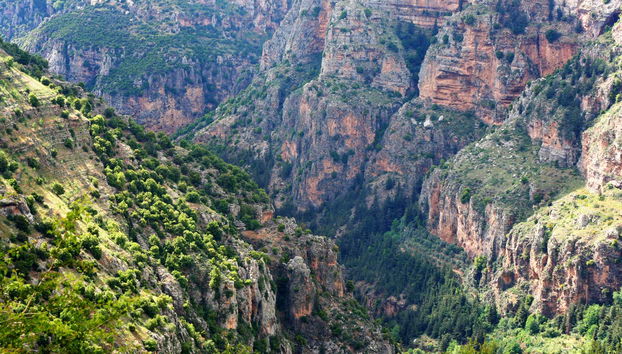 Excursion dans la vallée de Qadisha et la forêt des cèdres de Dieu - Photo 2