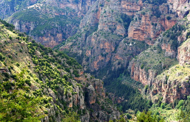 Excursión al Valle de Qadisha y el bosque de los Cedros de Dios - Foto 2