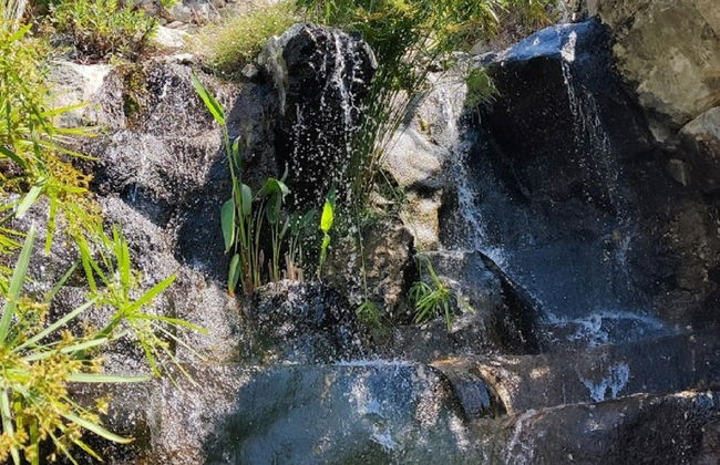 Visita guiada por Èze - Foto 6