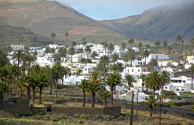 Visite à la découverte de César Manrique à Lanzarote - Photo 4