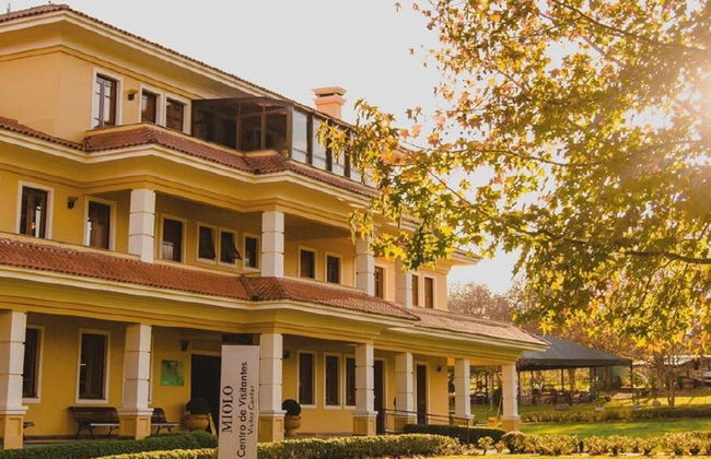 Tour del vino por el Vale dos Vinhedos - Foto 5