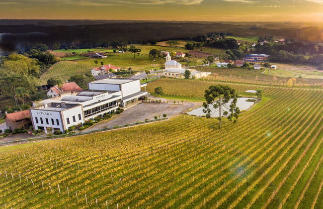 Tour del vino por el Vale dos Vinhedos - Foto 6