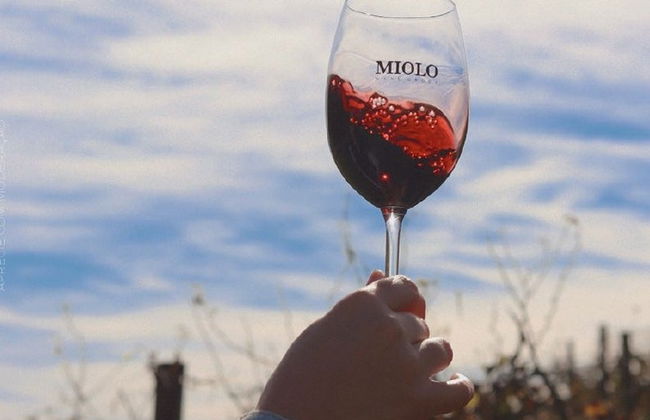 Tour del vino por el Vale dos Vinhedos - Foto 4