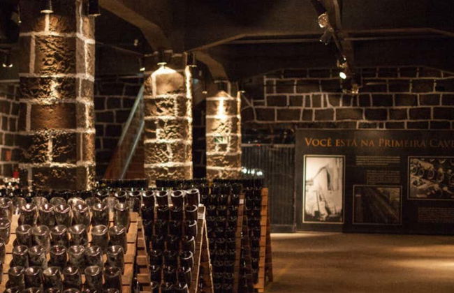 Tour del vino por el Vale dos Vinhedos - Foto 9