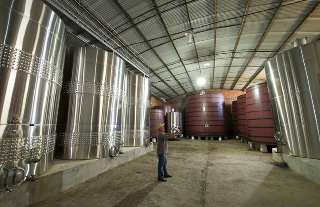 Tour del vino por el Vale dos Vinhedos - Foto 2