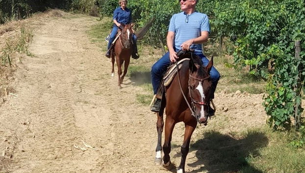 Horseback Riding in the Tuscan Countryside - Foto 4