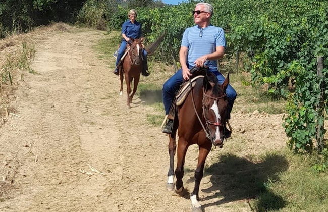 Horseback Riding in the Tuscan Countryside - Photo 4