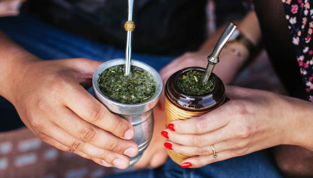 Tour de la yerba mate y el té por Apóstoles - Foto 4