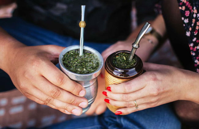 Tour de la yerba mate y el té por Apóstoles - Foto 4