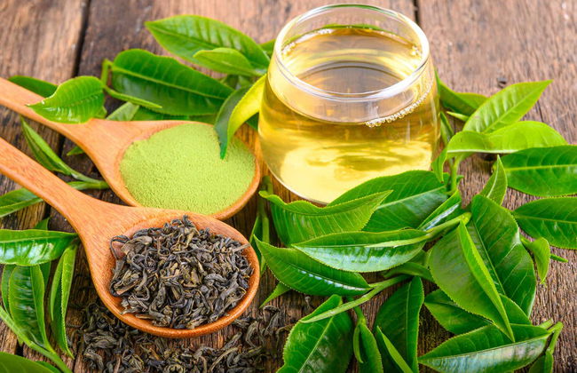 Tour de la yerba mate y el té por Apóstoles - Foto 6