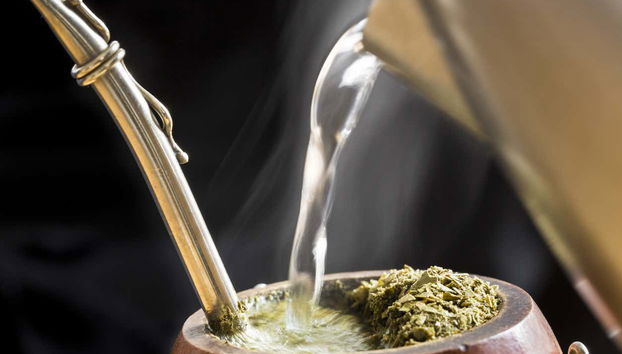 Tour de la yerba mate y el té por Apóstoles - Foto 3