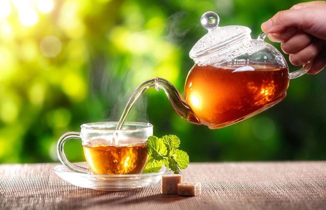 Tour de la yerba mate y el té por Apóstoles - Foto 7