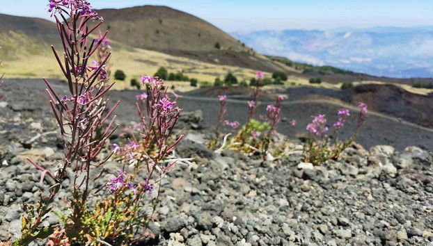 Etna Hike + Alcantara Gorges - Foto 3