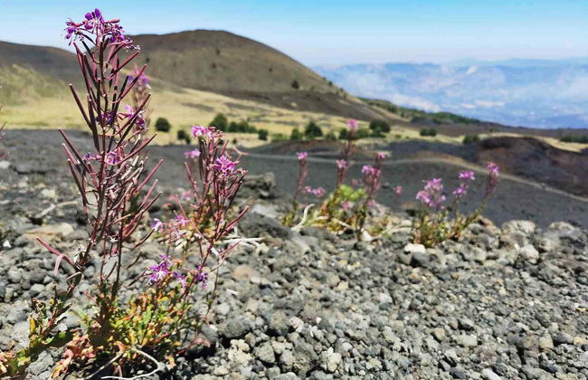 Trilha pelo Etna + Gargantas de Alcântara - Foto 3
