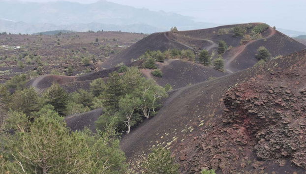 Etna Hike + Alcantara Gorges - Foto 5