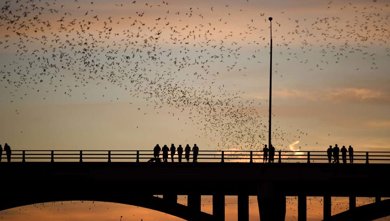 Scenic Austin Small Group Night Tour - Foto 1