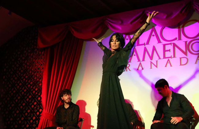 Espectáculo en el tablao Palacio Flamenco - Foto 7