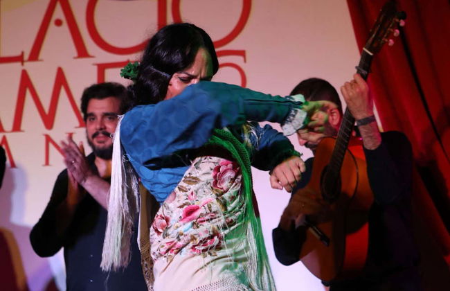 Espectáculo en el tablao Palacio Flamenco - Foto 2
