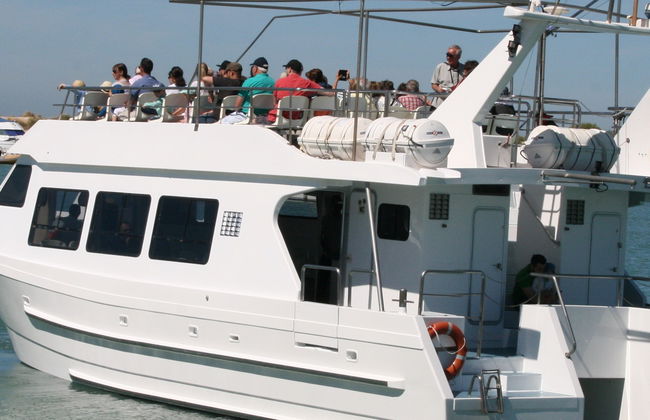 Giro in catamarano nella baia di Cadice - Foto 5