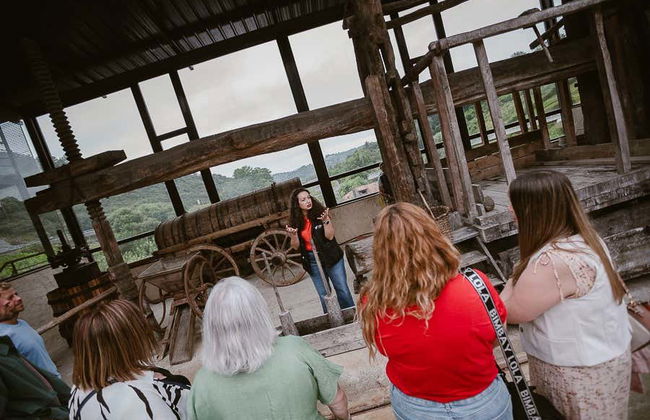 Excursion à Albaola + Visite d'une cidrerie basque - Photo 2