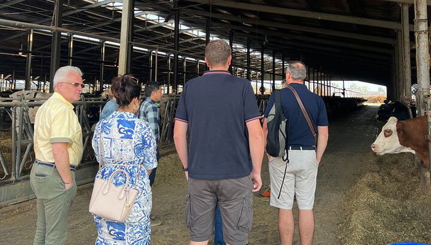 Parmesan-Balsamico-Tagestour mit Kochkurs bei einem Einheimischen zu Hause - Foto 3