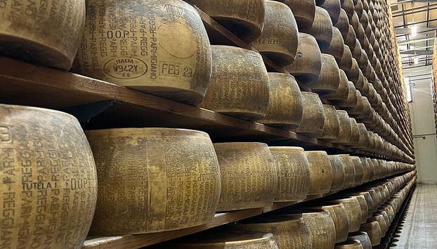 Parmesan-Balsamico-Tagestour mit Kochkurs bei einem Einheimischen zu Hause - Foto 5