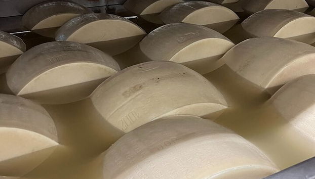 Parmesan-Balsamico-Tagestour mit Kochkurs bei einem Einheimischen zu Hause - Foto 4