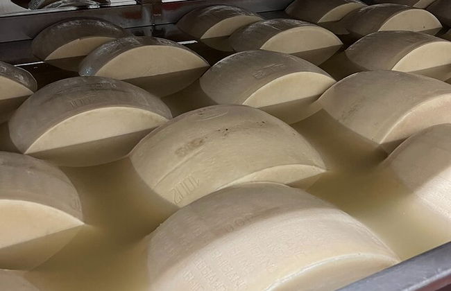 Parmesan-Balsamico-Tagestour mit Kochkurs bei einem Einheimischen zu Hause - Foto 4