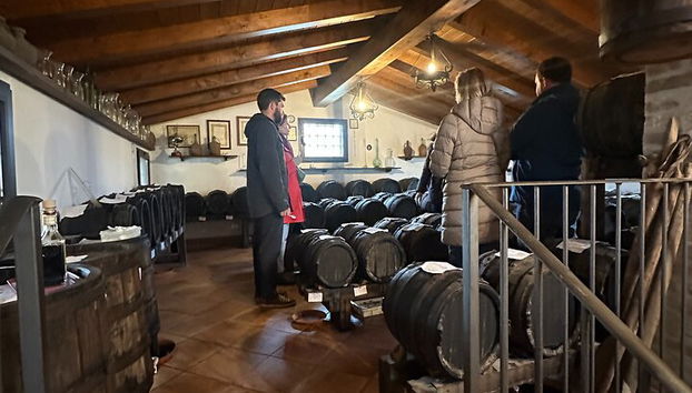 Parmesan-Balsamico-Tagestour mit Kochkurs bei einem Einheimischen zu Hause - Foto 2