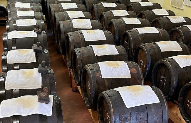 Parmesan-Balsamico-Tagestour mit Kochkurs bei einem Einheimischen zu Hause - Foto 6