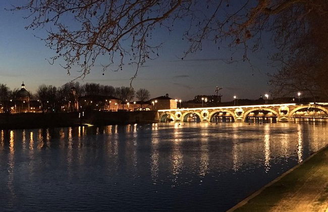 Day tour to Toulouse and the Canal du Midi. Private tour from Carcassonne. - Photo 8
