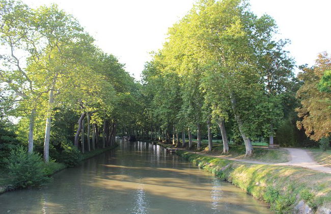 Day tour to Toulouse and the Canal du Midi. Private tour from Carcassonne. - Photo 10