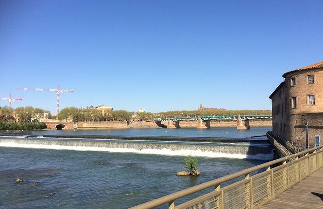 Day tour to Toulouse and the Canal du Midi. Private tour from Carcassonne. - Photo 9