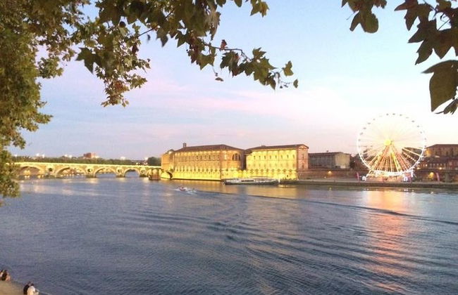 Day tour to Toulouse and the Canal du Midi. Private tour from Carcassonne. - Photo 5