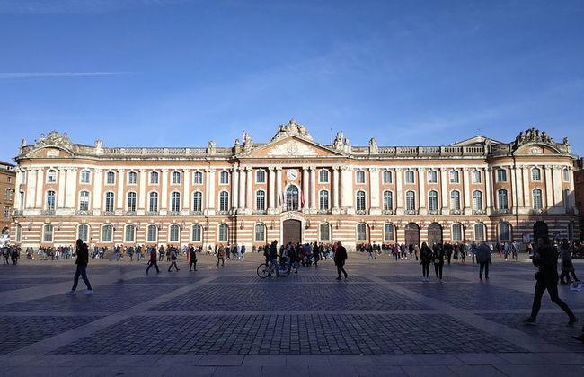 Day tour to Toulouse and the Canal du Midi. Private tour from Carcassonne. - Photo 1