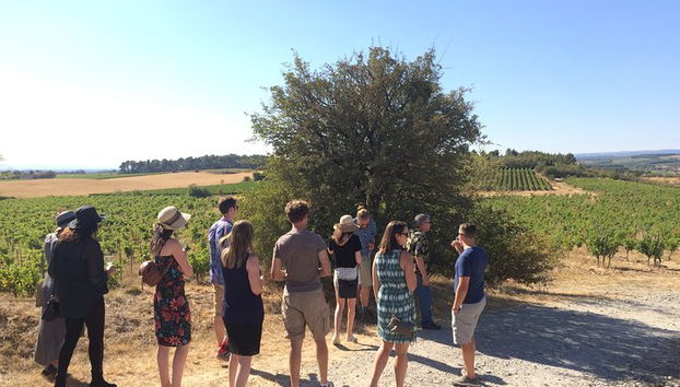 tour del vino
